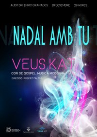 Auditori Municipal (Lleida)